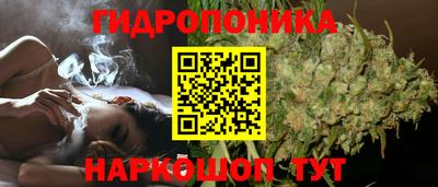дурь Лесосибирск